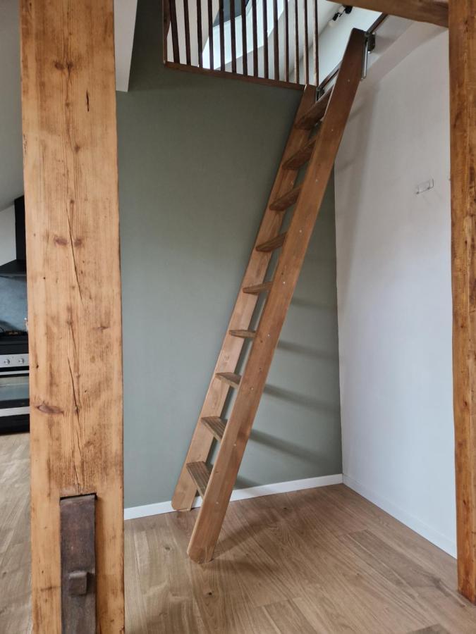 Les Appartements De Romain Et Julien ديجون المظهر الخارجي الصورة
