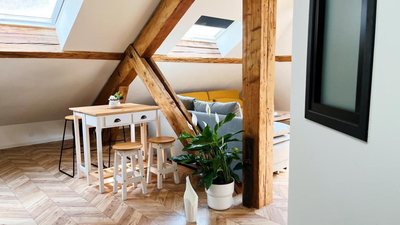 Les Appartements De Romain Et Julien ديجون المظهر الخارجي الصورة