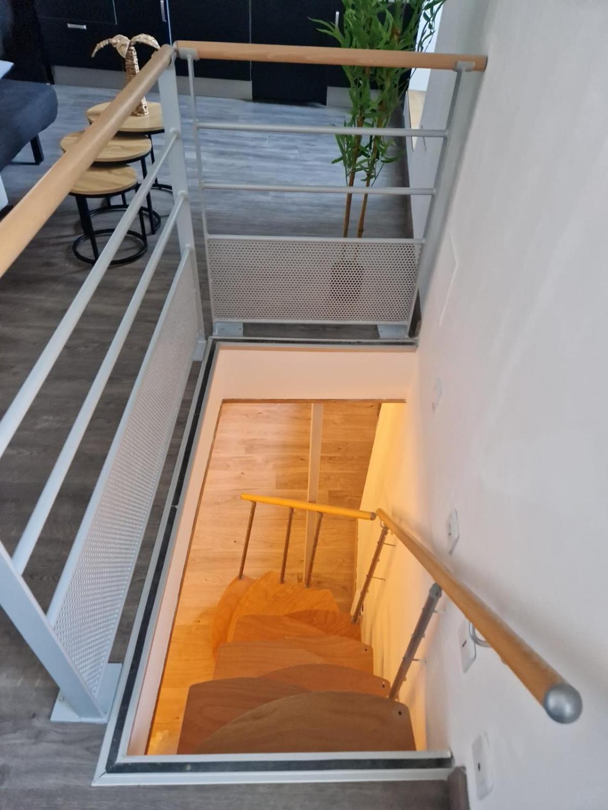 Les Appartements De Romain Et Julien ديجون المظهر الخارجي الصورة