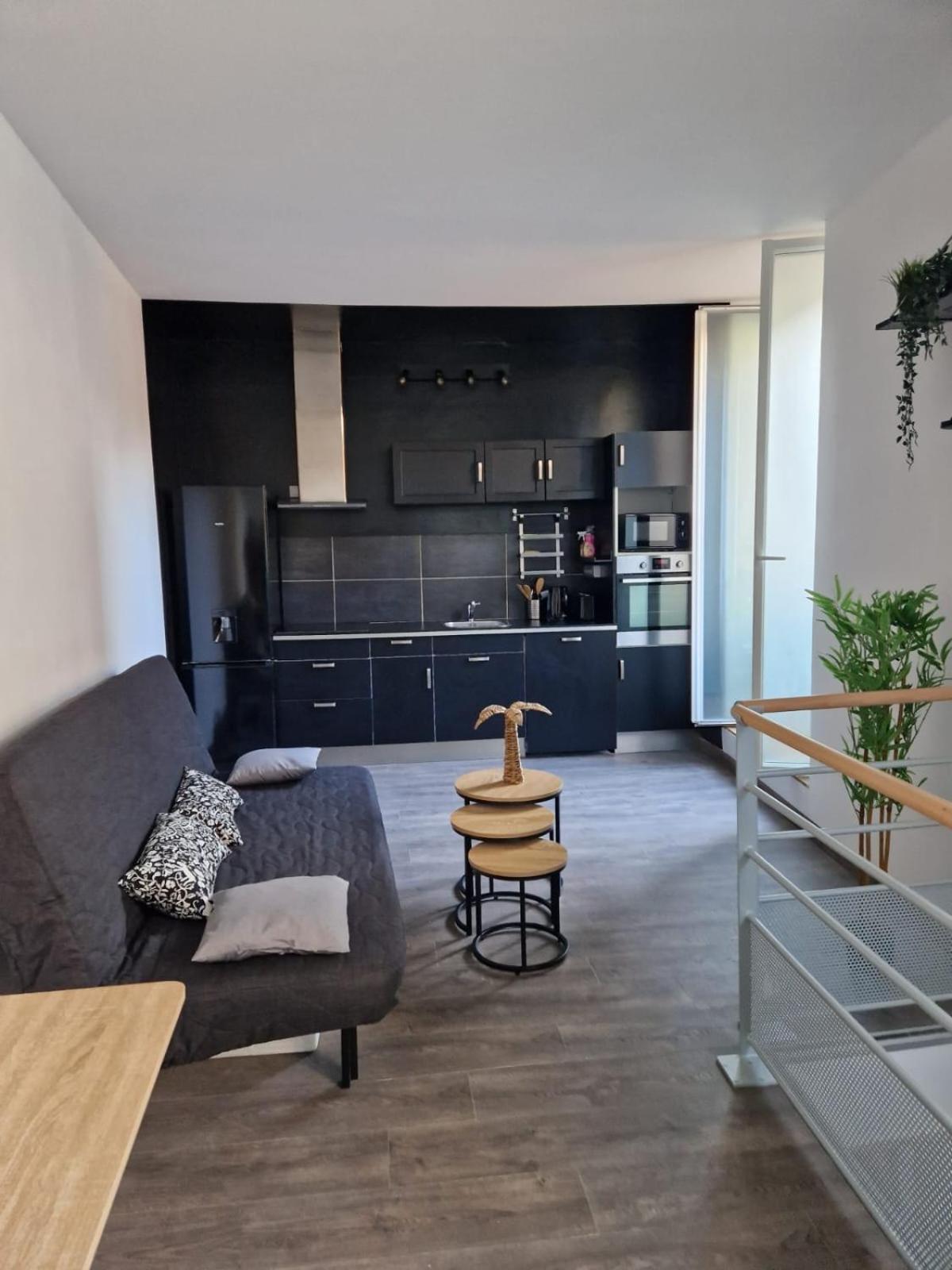 Les Appartements De Romain Et Julien ديجون المظهر الخارجي الصورة
