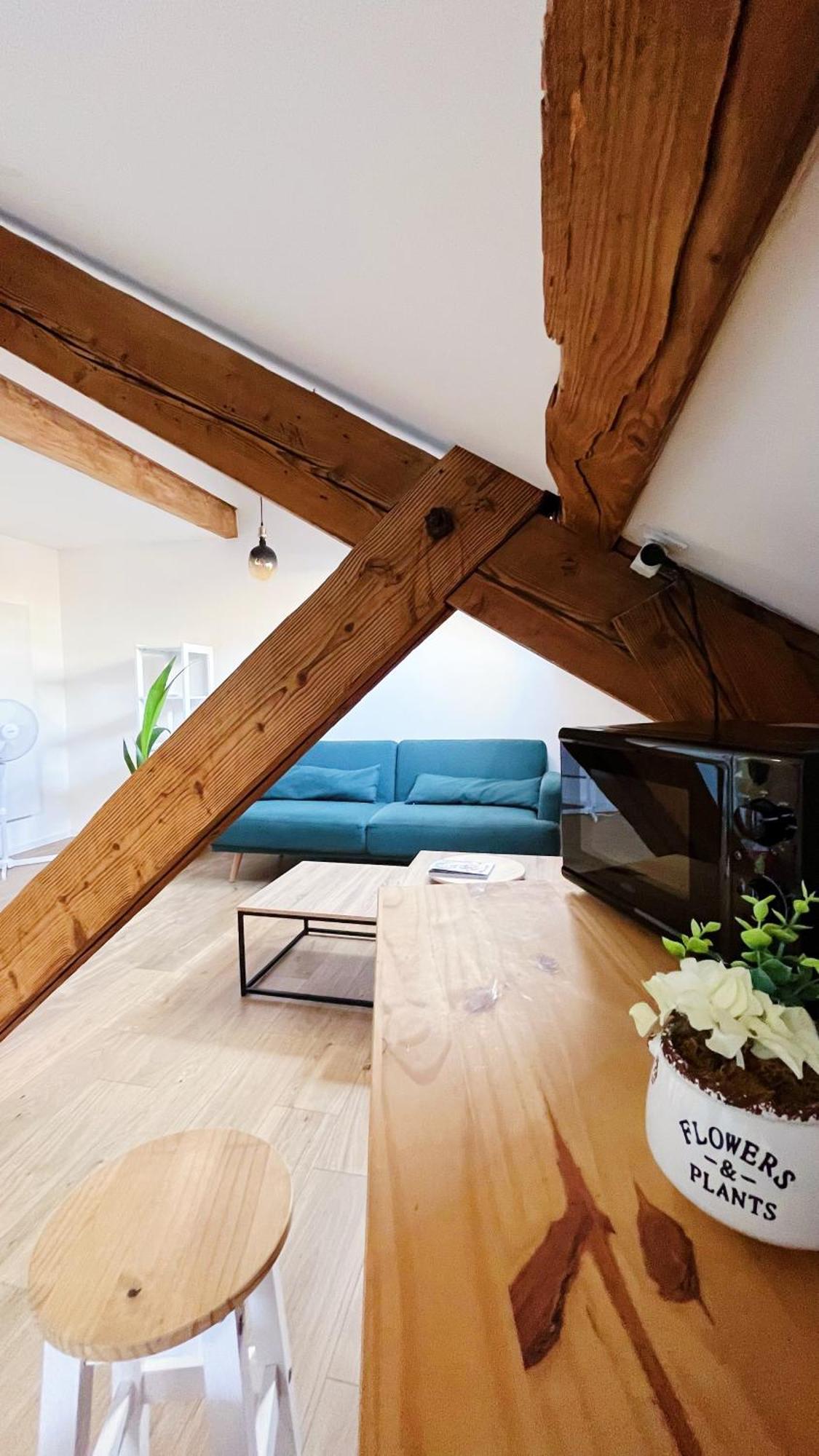 Les Appartements De Romain Et Julien ديجون المظهر الخارجي الصورة