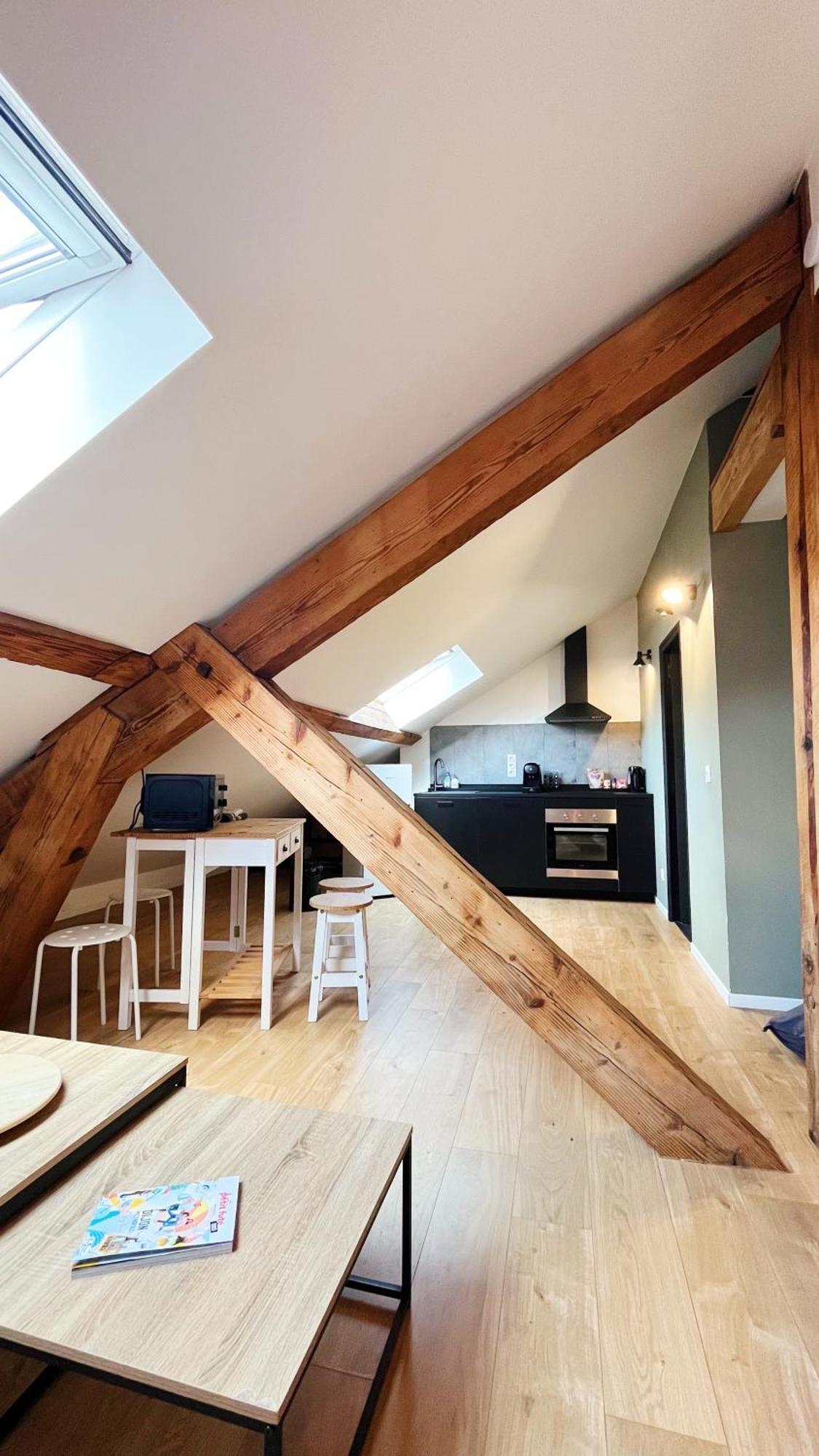 Les Appartements De Romain Et Julien ديجون المظهر الخارجي الصورة