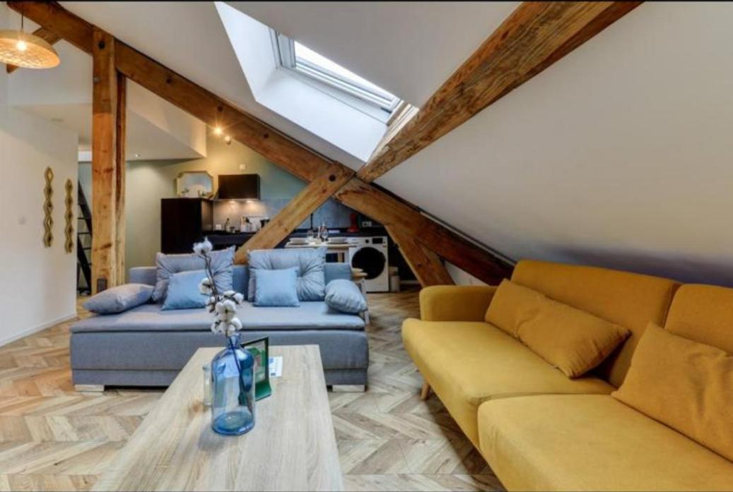 Les Appartements De Romain Et Julien ديجون المظهر الخارجي الصورة